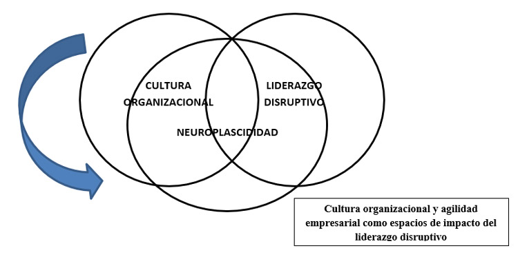 Gráfico 1. Neuroplasticidad y Liderazgo Disruptivo